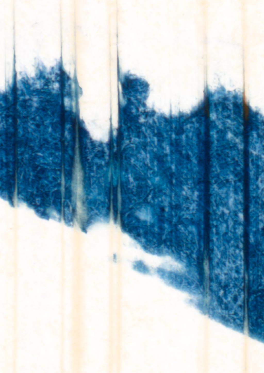 Abstrakter Ausschnitt aus Kunstwerk #2402, zeigt wellenförmige blaue Struktur auf weißem Hintergrund.